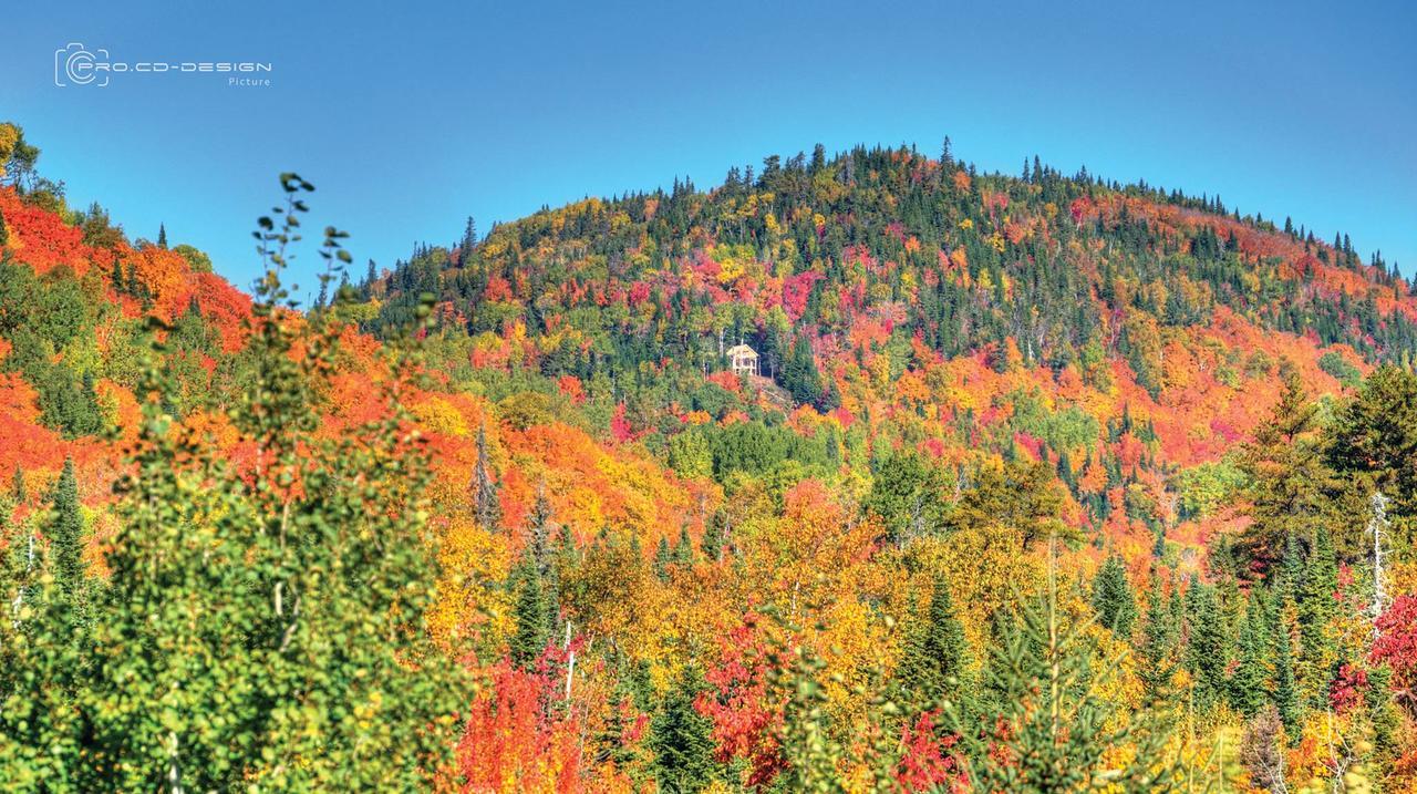 Le St Bernard - Les Chalets Spa Canada Ла-Мальбе Екстер'єр фото